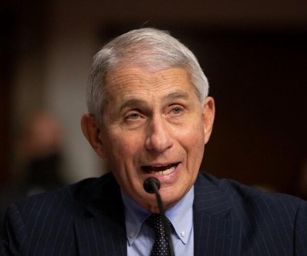 anthony fauci testifies at hearing