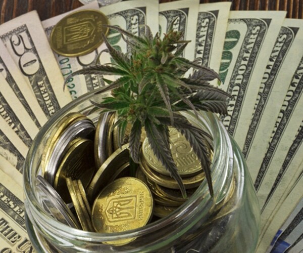 green leaf of cannabis, marijuana, ganja, marihuana, hemp on a bill 100 us dollars.