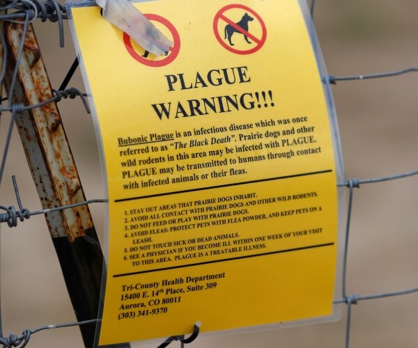 yellow plague warning sign