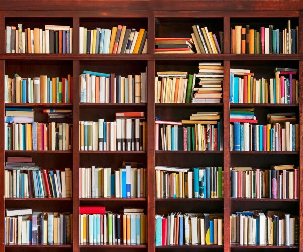 Christmas Gift Books for Political Junkies