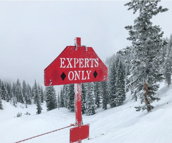 supposedly experts only 