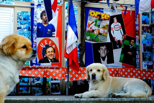 Ooh La La! Cypriot Renews Platini Memorabilia Record Bid