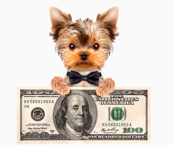 Taxable-Bond Funds See Cash Inflows for 17th Straight Week