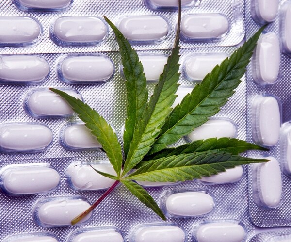US Approves First Marijuana Plant-Derived Drug for Epilepsy