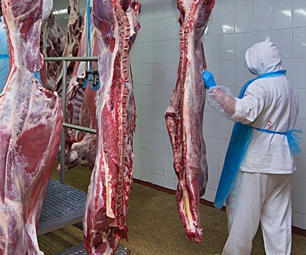 'Elbow to Elbow:' North America Meat Plant Workers Fall Ill, Walk Off Jobs