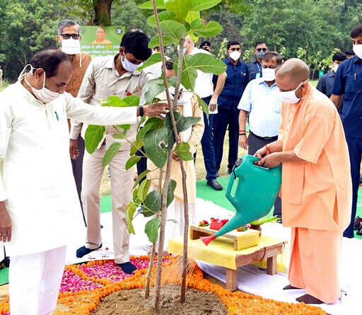 Indians Keep Their Distance in Mass Tree Planting Campaign