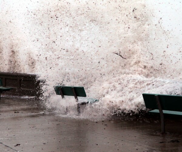 Company Profits Show Ill Effects of Hurricane Disruptions