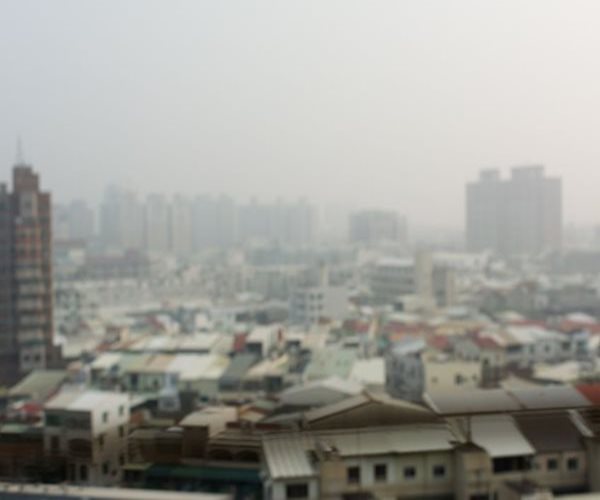 Exposure to Air Pollution During Pregnancy Alters Baby's Brain