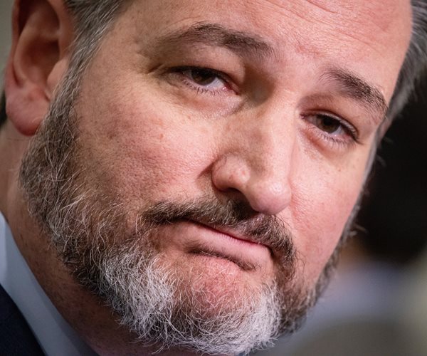 Sen. Ted Cruz Writing Book on Supreme Court Cases