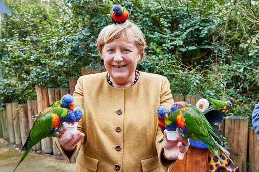 What a Cracker! Merkel Pecked by Parrot