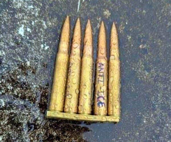 DHS Increasing Security at ICE Facilities After Dallas Shooting ...