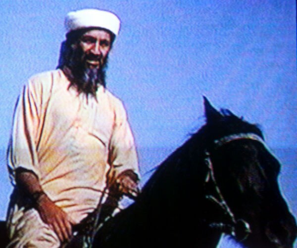 Was Al Qaeda the Fly in the China Shop?