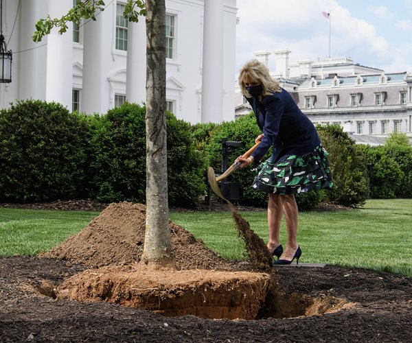 Jill Biden Plants Tree as White House Readies for Family Cat