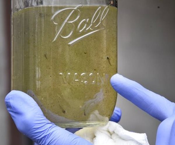 UN: Don't Worry About Drinking Microplastics in Water