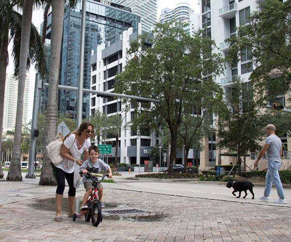 Young Americans Embrace Socialism, Even Among Miami Cubans