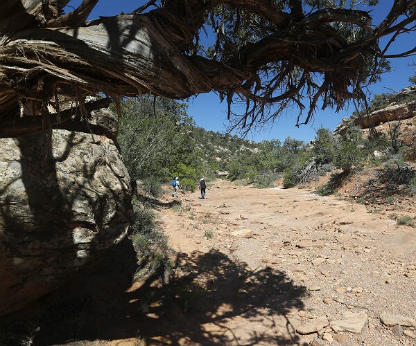 NYT: Emails Show Oil Was Key in Bears Ears Monument Decision