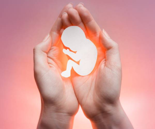 two hands holding the outline of a human fetus