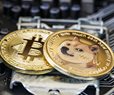 Despite Elon Musk's Dogecoin Roller Coaster, Cryptocurrency Is No Fad