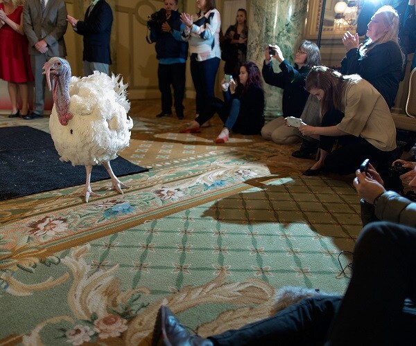 Reflecting on American Unseriousness This Holiday