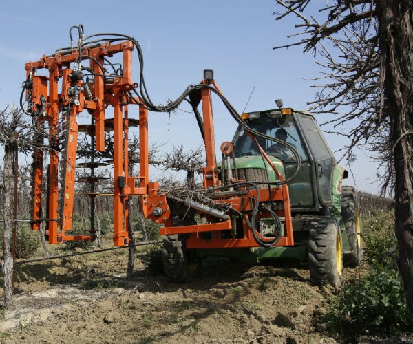 Calif. Grower Outsmarts State's Pols on Water Use 