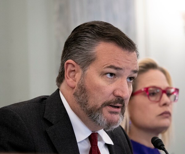 sen. ted cruz looks to a witness