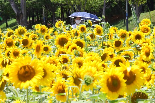 Asia Today: Australian Virus Hot Spot Moves to Add Sick Beds