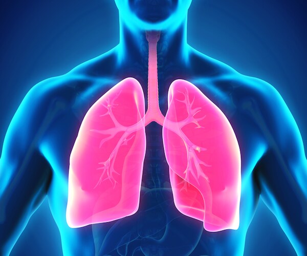 New Drugs Could Soon Be Useless Against TB