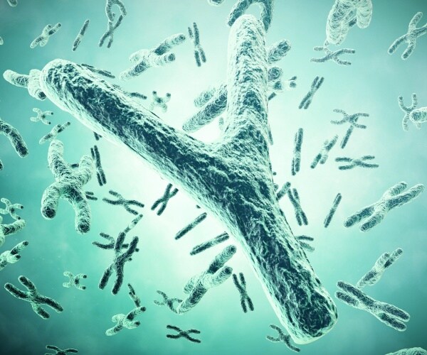 illustration of Y and X chromosomes