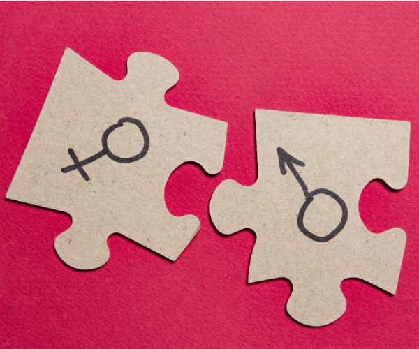 gender roles and assignment