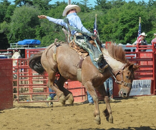 Hold On to Your Wallets, People! We Are In for a Rough Ride