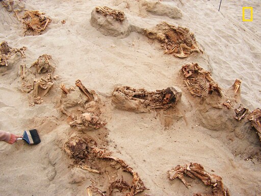 Archaeologists Find Ancient Mass Child Sacrifice in Peru
