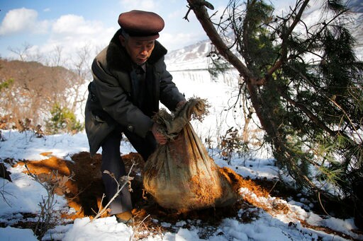 Trump, Kim Summit May Boost Recovery of US Korea War Remains