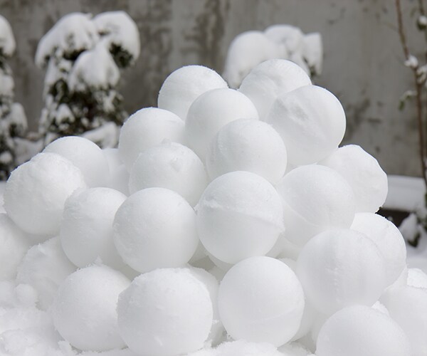 Snowball Duel on Capitol Hill Pits Booker Against Flake