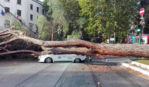 Falling Pine Tree in Rome Crushes Taxi, Injuring Driver
