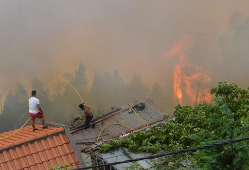 3 Dead in Madeira Islands as Wildfire Spreads into Capital