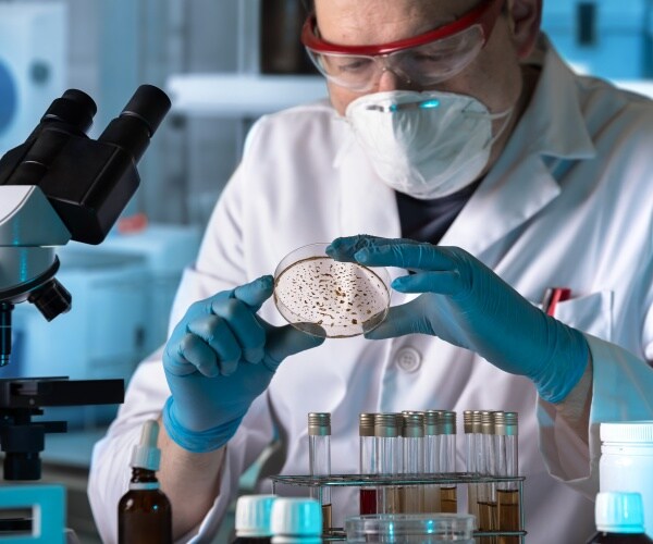 scientist in lab looking at bacteria