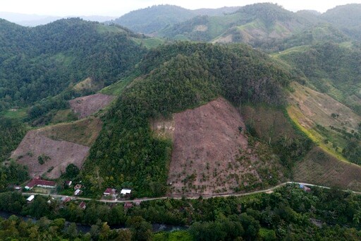 Deforestation in Indonesia Spiked Last Year, but Resources Analyst Sees Better Overall Trend