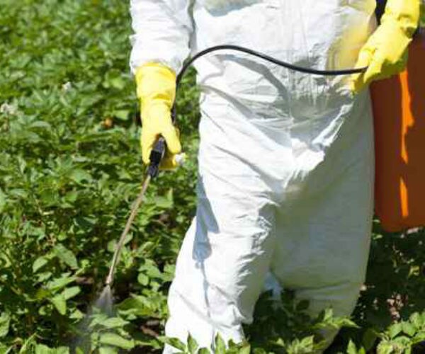 worker spaying pesticides