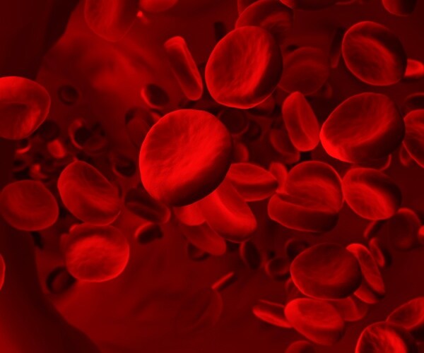 blood cells in a blood vessel are shown