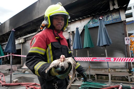 Fire at Thailand's Famous Chatuchak Weekend Market Kills Hundreds of Caged Animals