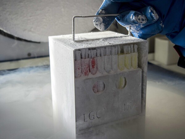 Facebook, Apple: Egg Freezing Free for All Female Employees