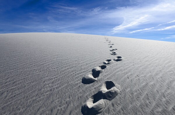 French Couple Dies Hiking Desert Trail in New Mexico; Son Survives