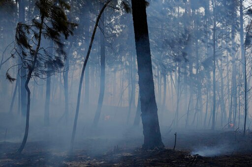Bordeaux Blazes Rage, Firefighting Pilot Killed in Portugal