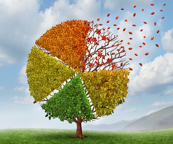 Economy Isn't Weak Enough to Merit Fed Rate Cut