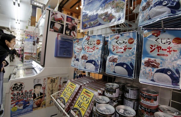 Court Ruling Puts Japan Whaling Future in Doubt