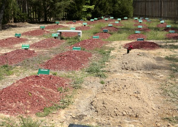 Boston Bombing Suspect Buried in Virginia Cemetery