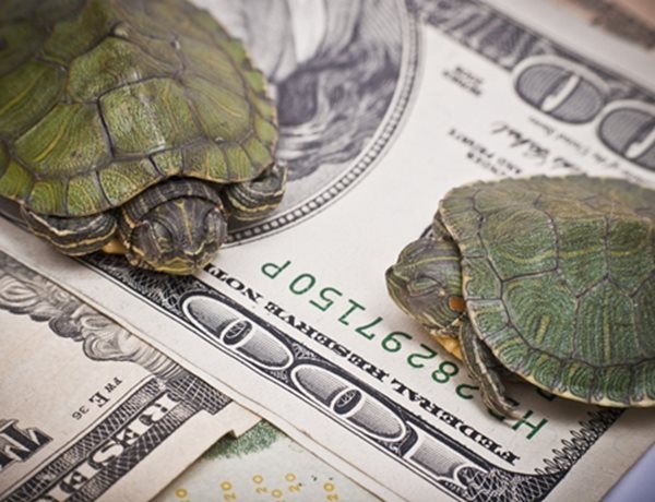 AP Economists Poll: Slower Growth, Small Pay Gains for Next 2 Years