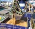 Ukraine Asks Israel to Seize Vessel Over Grain It Says Russia Stole