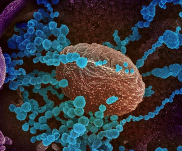 Italian Research Shows Omicron Has More Than Double Mutations of Delta Variant