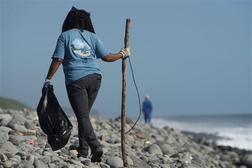 Malaysia to Verify If Debris in Maldives Came from Plane